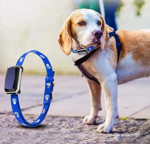 Smart GPS Pet Tracker Collar